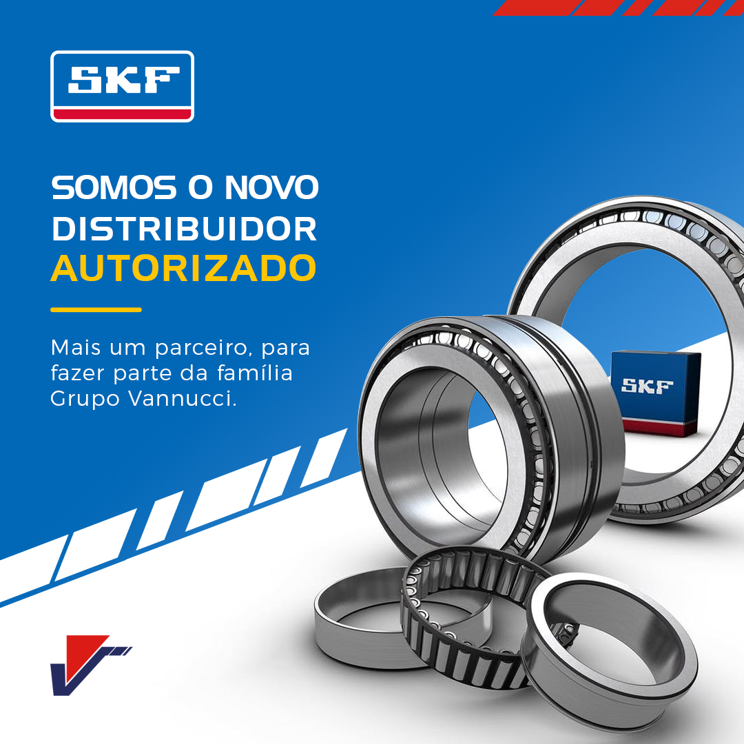 Distribuidor Vannucci SKF