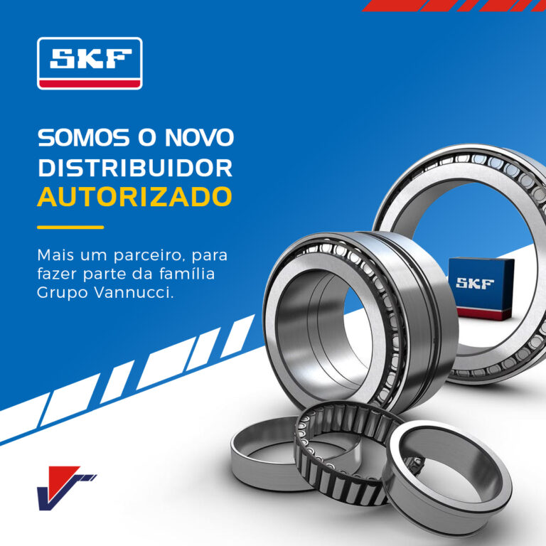 Vannucci Distribuidor SKF